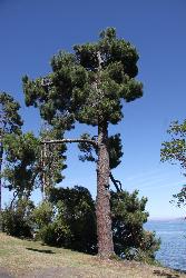 Image: Trevor James © Trevor James 